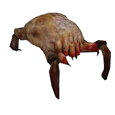 Half-Life 2 Headcrab